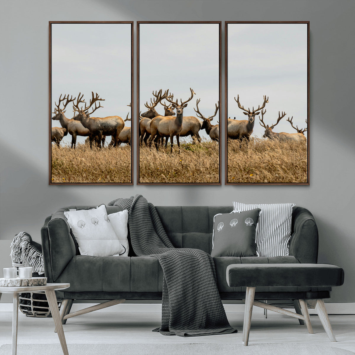 Elk Herd Wall Art Canvas Print, Framed Wildlife Photography Art, Majestic Antlers Rustic Wildlife Decor