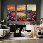 Dooley Stadium Wall Art, Sports Arena Canvas Print, Dooley Field, Framed and Ready to Hang