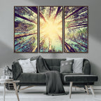 Tree and Sunshine Canvas Print