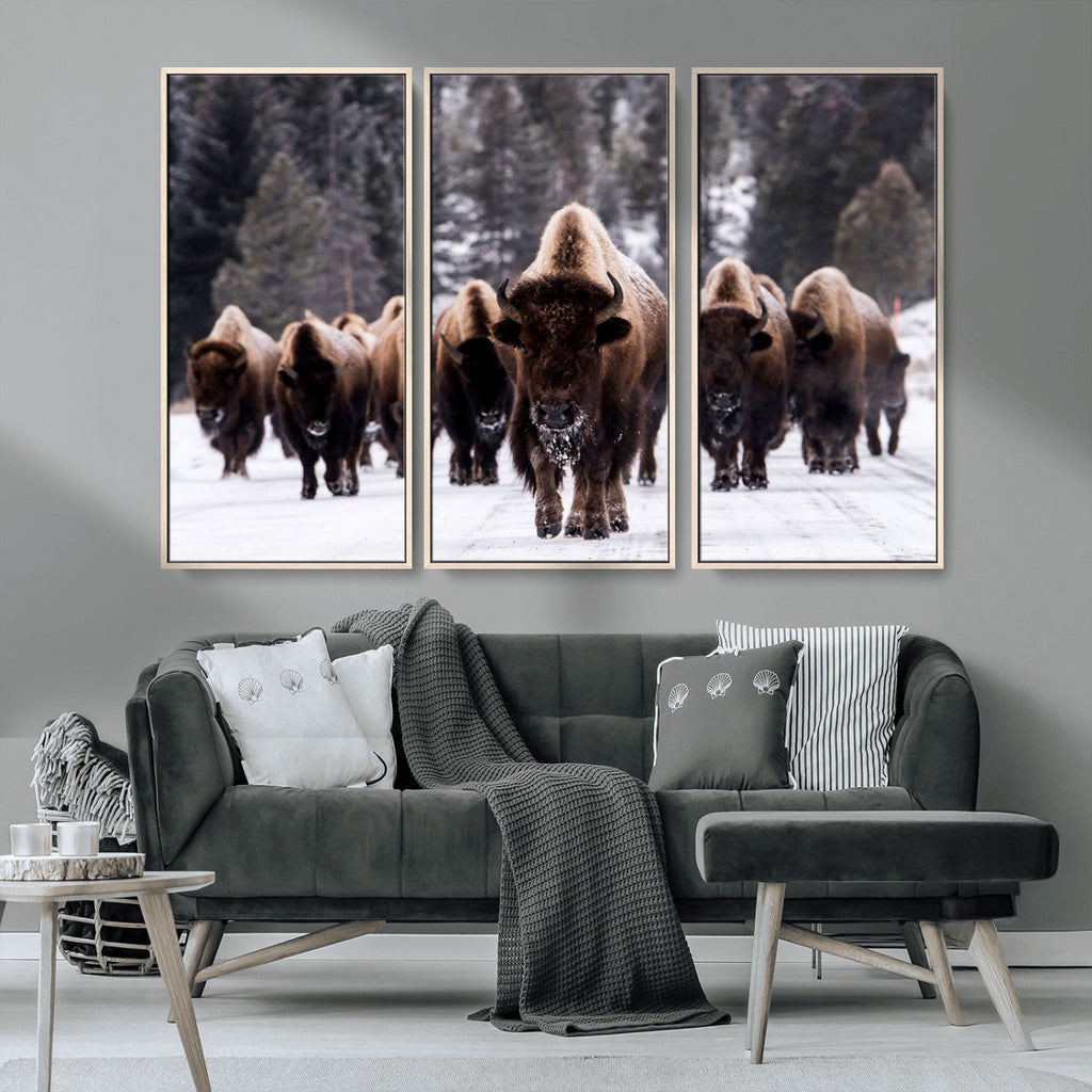 Bison Wall Art Canvas Print, Bison Herd Canvas Wall Art