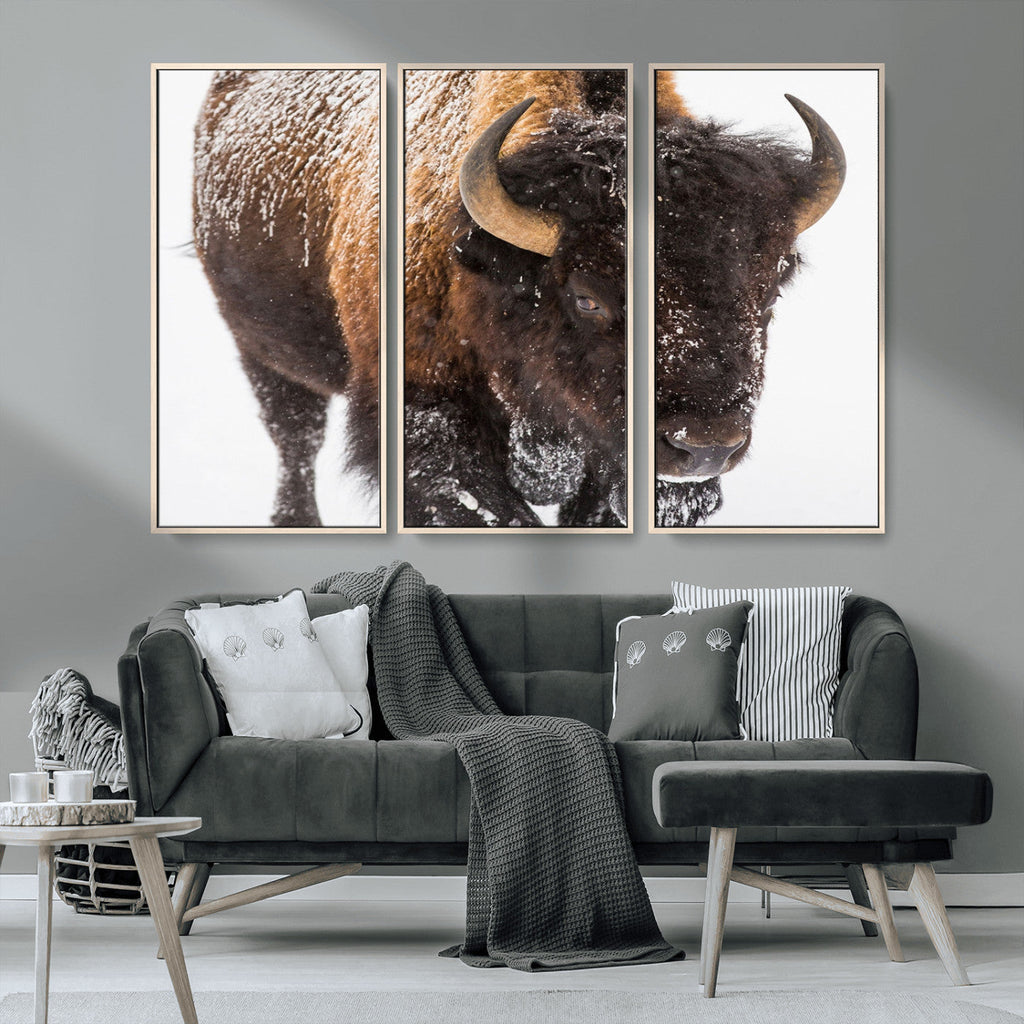 Bison Wall Art Canvas Print For Farmhouse, Wild Animal Wall Art