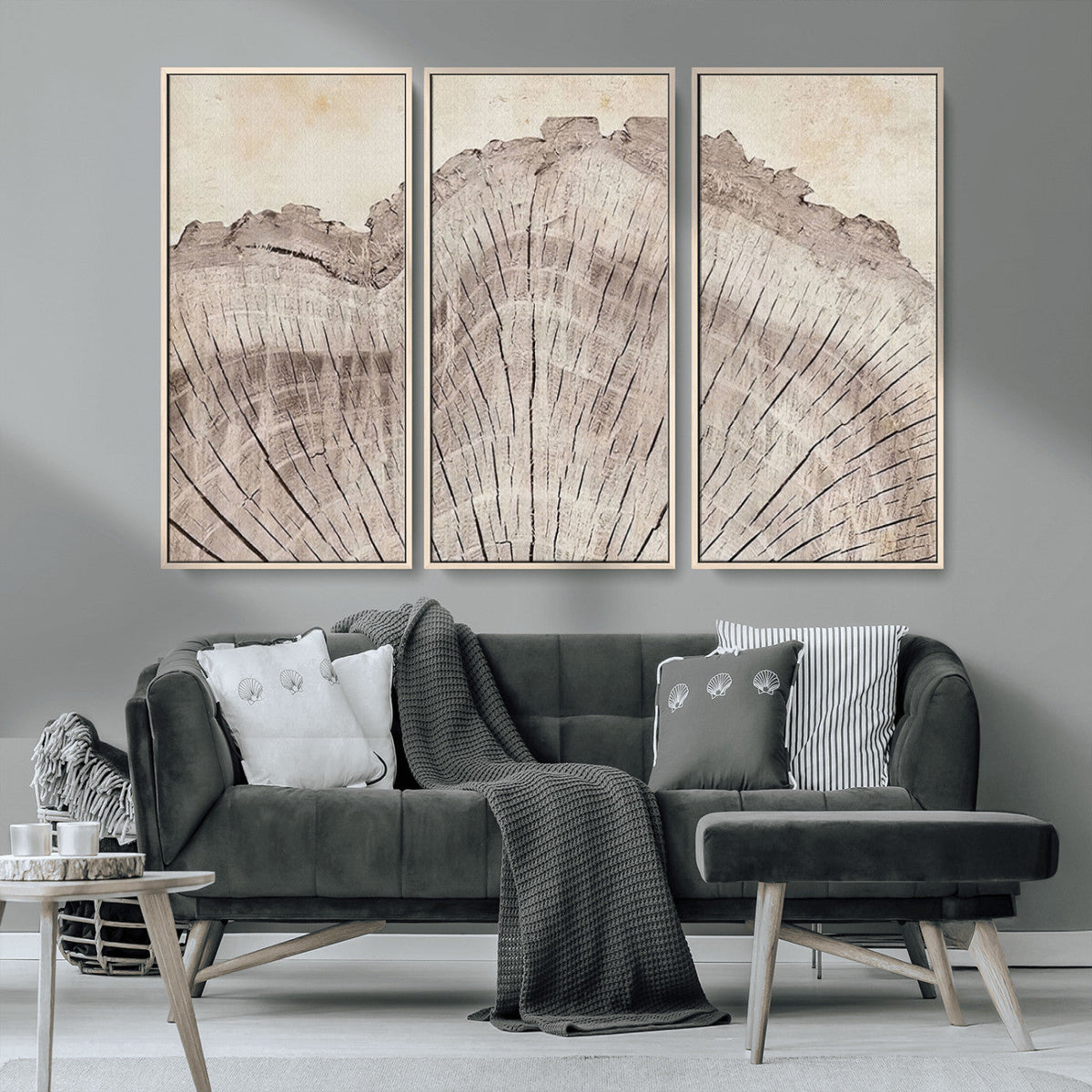 Tree Ring Wall Art Triptych, Rustic Wood Ring Canvas Print