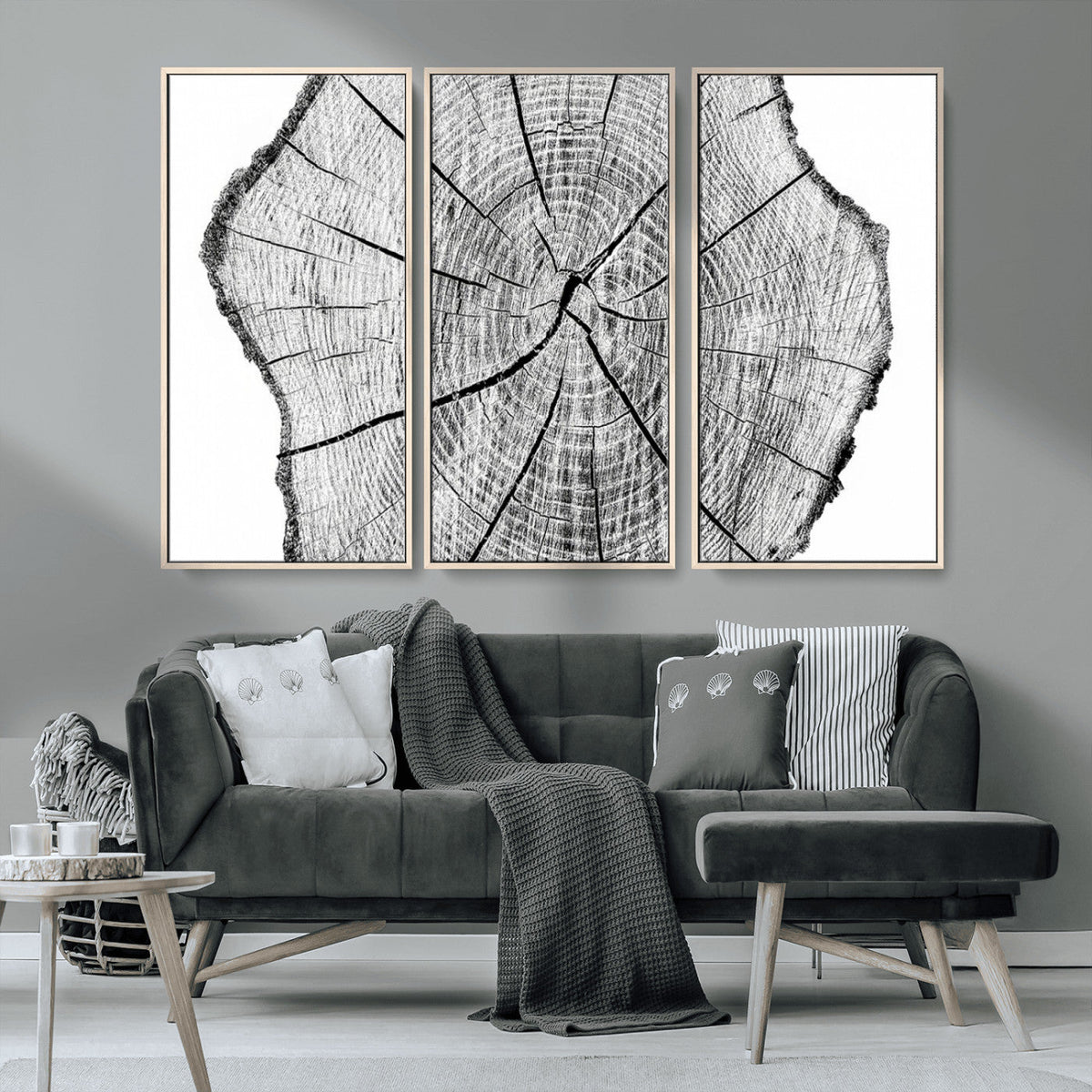 Rustic Tree Ring Wall Art Canvas Print, Framed and Ready to Hang