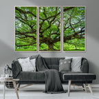Ancient Tree Wall Art Canvas Print, Framed Sprawling Branches