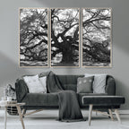 Ancient Oak Wall Art Canvas Print | Gnarled Tree with Twisted Branches