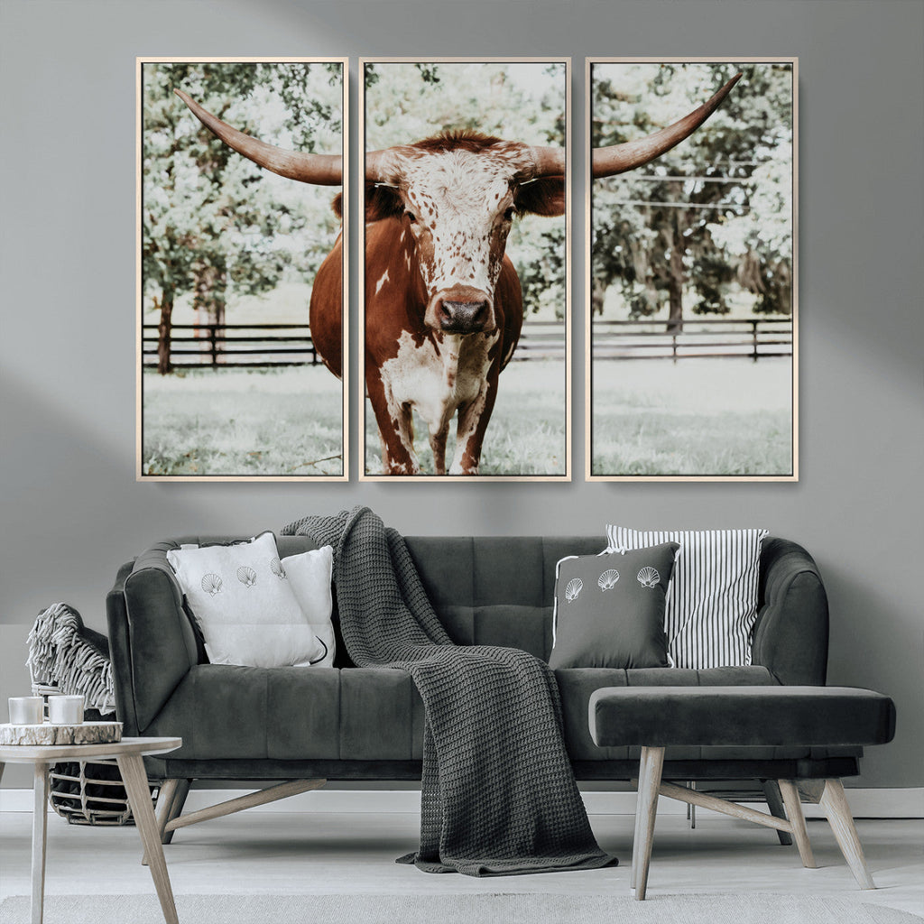 Texas Longhorn Wall Art Canvas Print | Framed Spotted Brown and White Bull