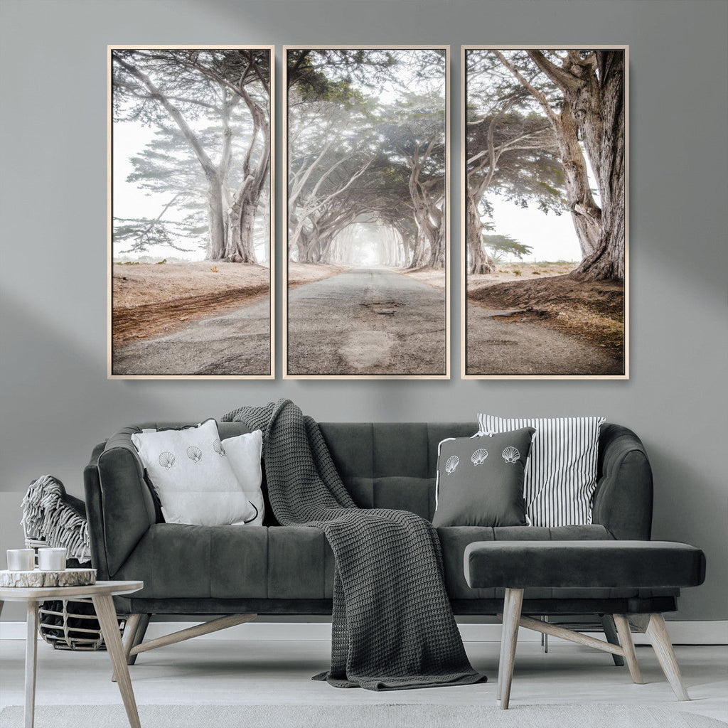 Cypress Tunnel Wall Art | Framed Misty Road Canvas Artwork