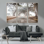 Cypress Tunnel Wall Art | Framed Misty Road Canvas Artwork