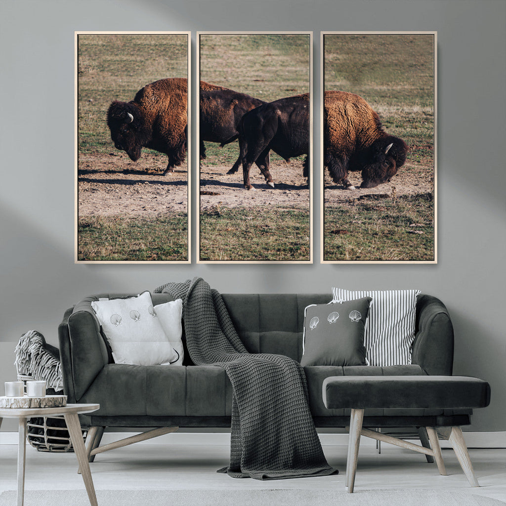 Bison Wall Art Canvas Print, Framed Western Wildlife Modern Ranch