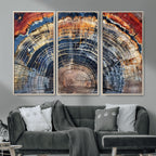 Tree Rings Wall Art Canvas Print, Framed Petrified Wood Art, Modern Rustic Decor