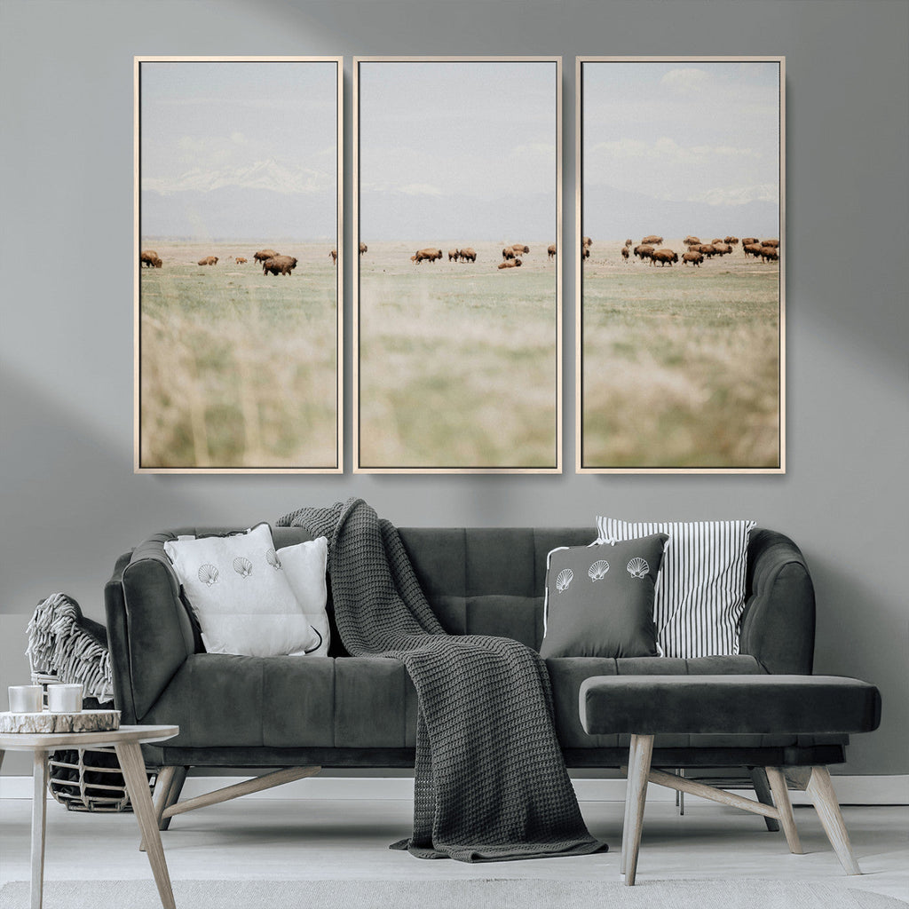 Bison Herd Wall Art Canvas Print, Framed Western Ranch Nature Scene