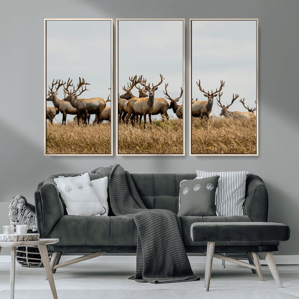 Elk Herd Wall Art Canvas Print, Framed Wildlife Photography Art, Majestic Antlers Rustic Wildlife Decor