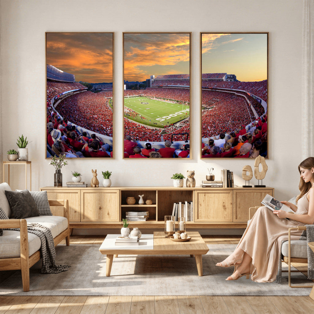 Dooley Stadium Wall Art, Sports Arena Canvas Print, Dooley Field, Framed and Ready to Hang