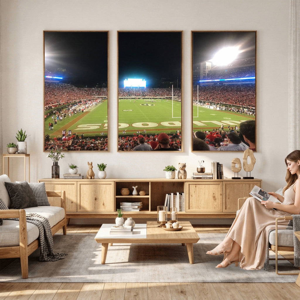 Dooley Stadium Wall Art, Sports Arena Panoramic Canvas