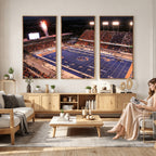 Boise State Broncos Albertsons Stadium Wall Art Canvas Print