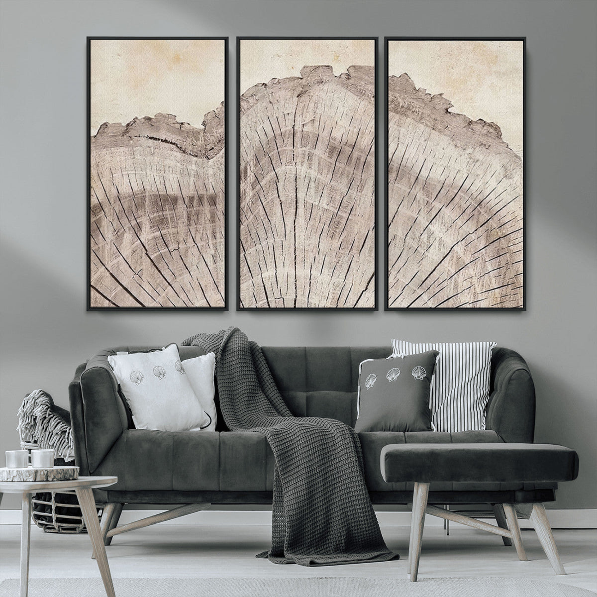 Tree Ring Wall Art Triptych, Rustic Wood Ring Canvas Print