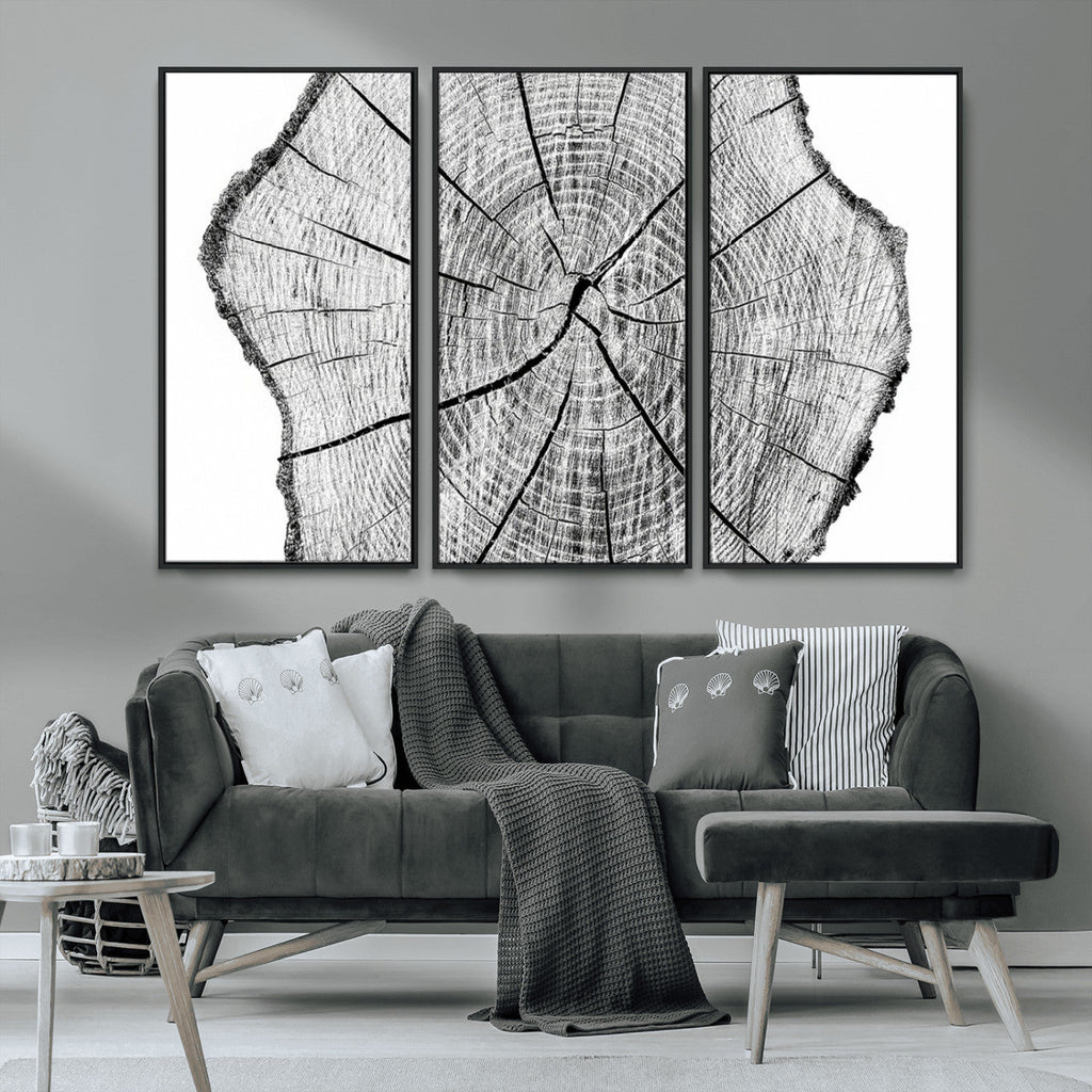Rustic Tree Ring Wall Art Canvas Print, Framed and Ready to Hang