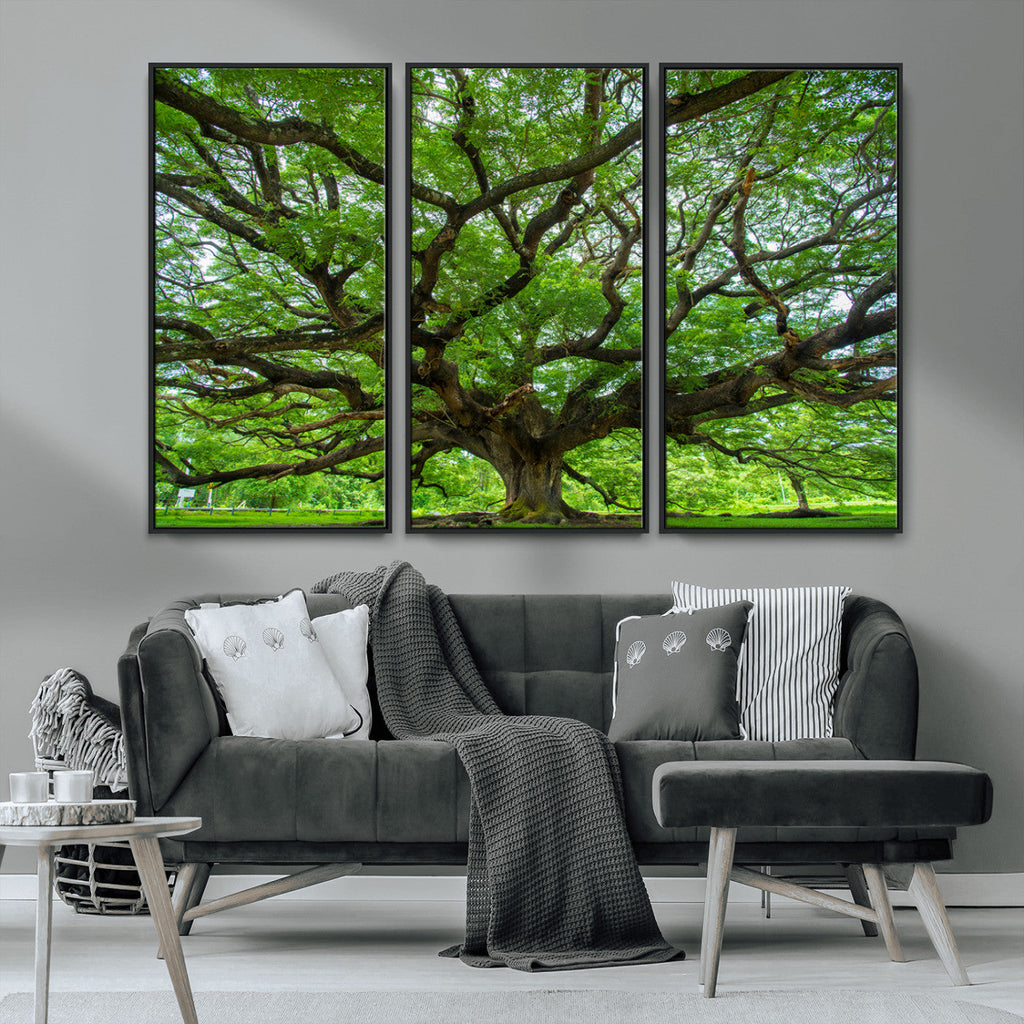 Ancient Tree Wall Art Canvas Print, Framed Sprawling Branches