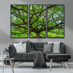 Ancient Tree Wall Art Canvas Print, Framed Sprawling Branches