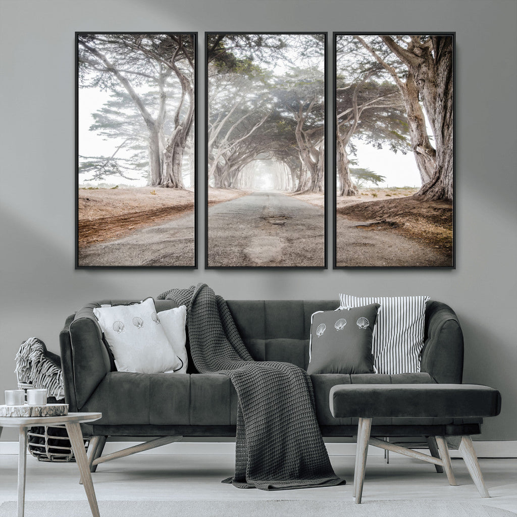 Cypress Tunnel Wall Art | Framed Misty Road Canvas Artwork