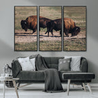 Bison Wall Art Canvas Print, Framed Western Wildlife Modern Ranch