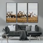Elk Herd Wall Art Canvas Print, Framed Wildlife Photography Art, Majestic Antlers Rustic Wildlife Decor