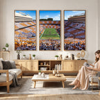 Tennessee Neyland Stadium Wall Art, Sports Arena Canvas, Framed and Ready to Hang
