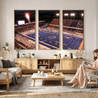 Boise State Broncos Albertsons Stadium Wall Art Canvas Print