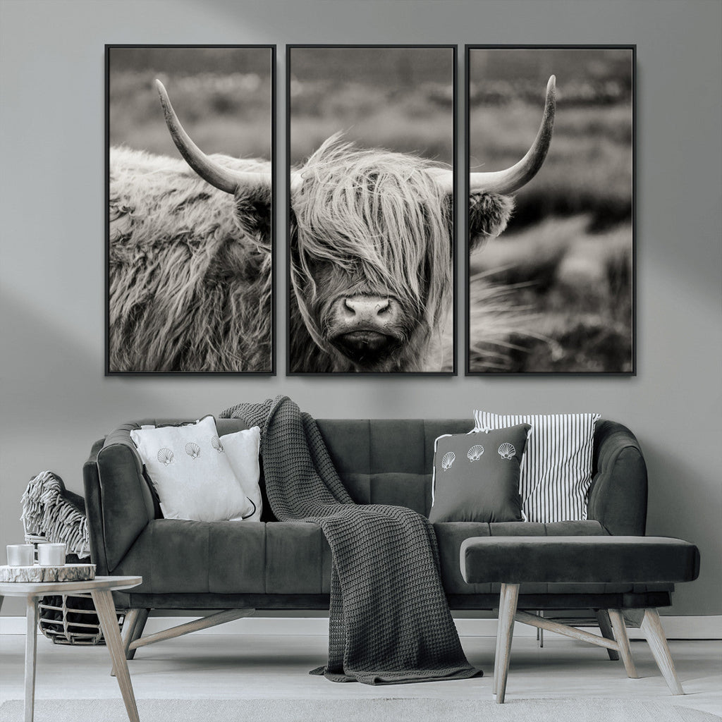 Cow Focus Canvas Wall Art Print
