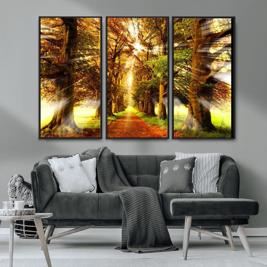 Sunshine in Forest and Trees Wall Art Canvas Print