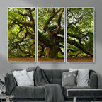 Angel Oak Tree Wall Art Canvas Print | Forest Tree Nature Photography Print