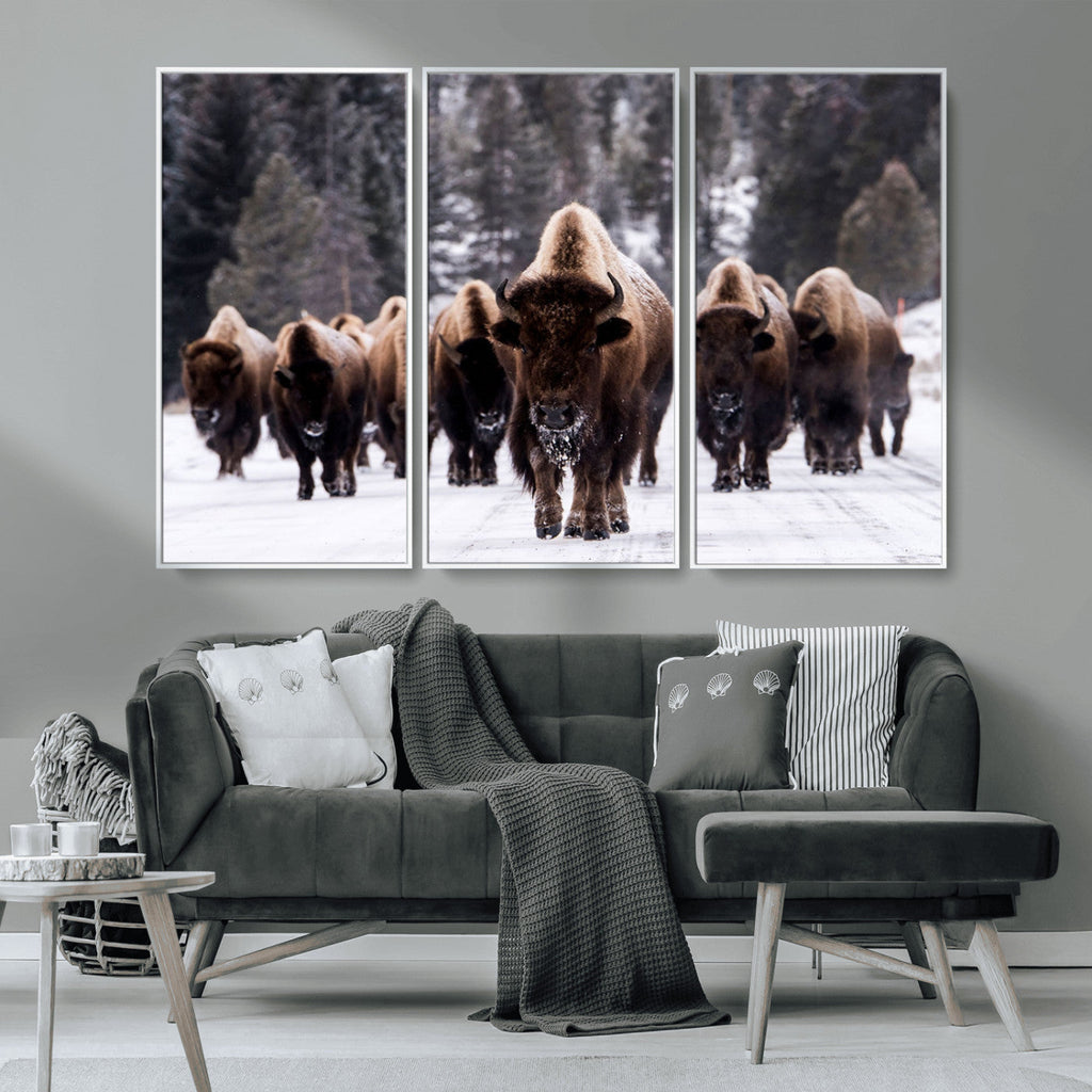 Bison Wall Art Canvas Print, Bison Herd Canvas Wall Art