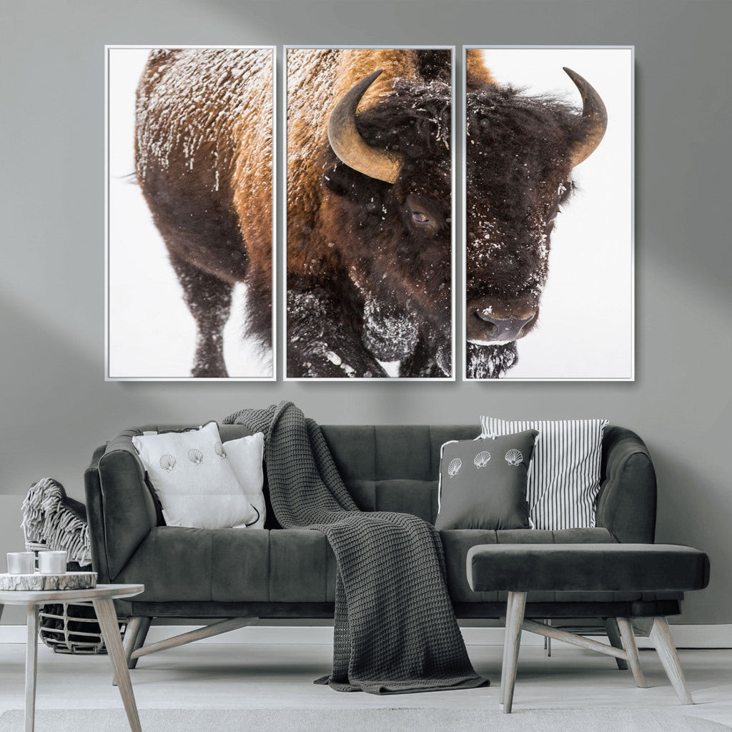 Bison Wall Art Canvas Print For Farmhouse, Wild Animal Wall Art