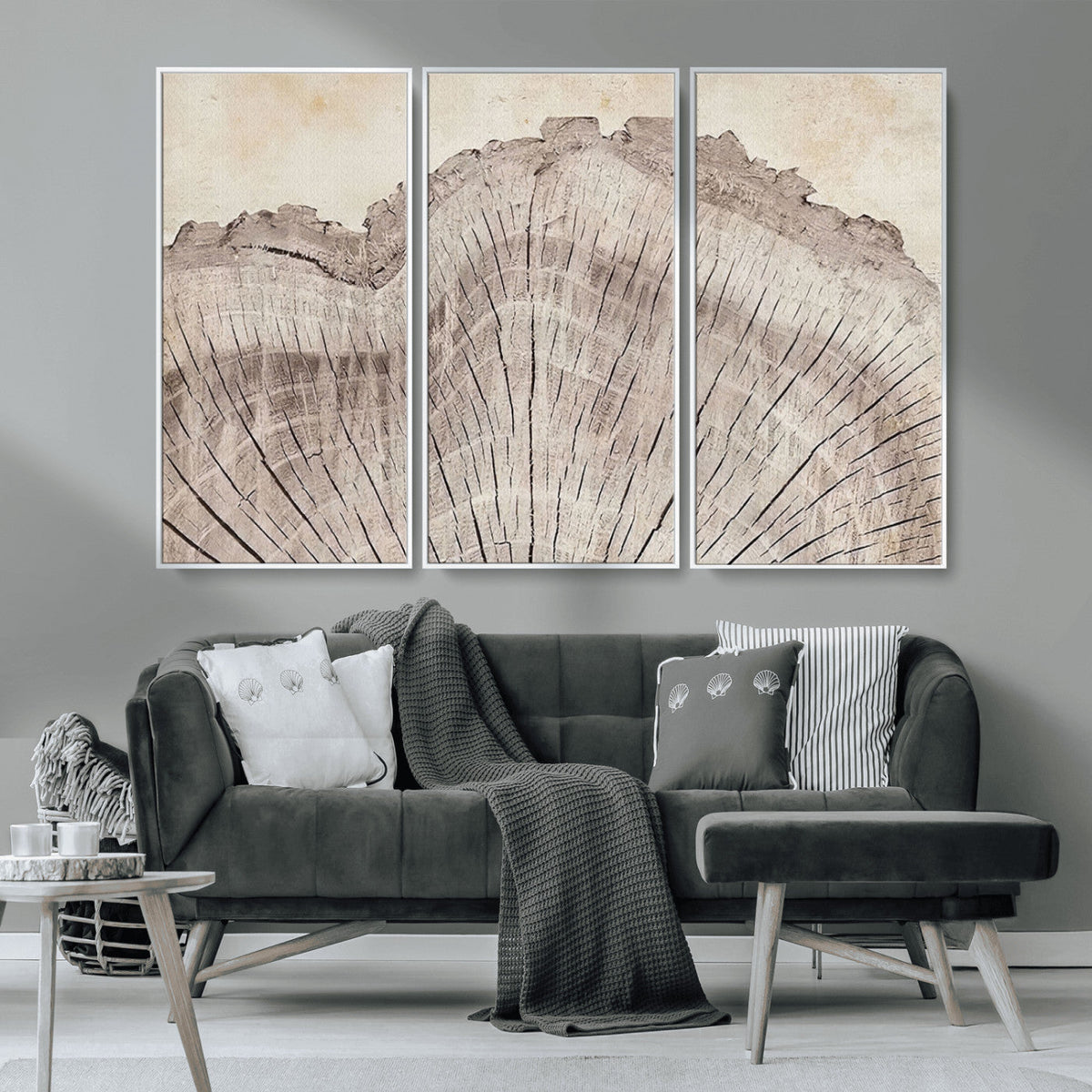 Tree Ring Wall Art Triptych, Rustic Wood Ring Canvas Print