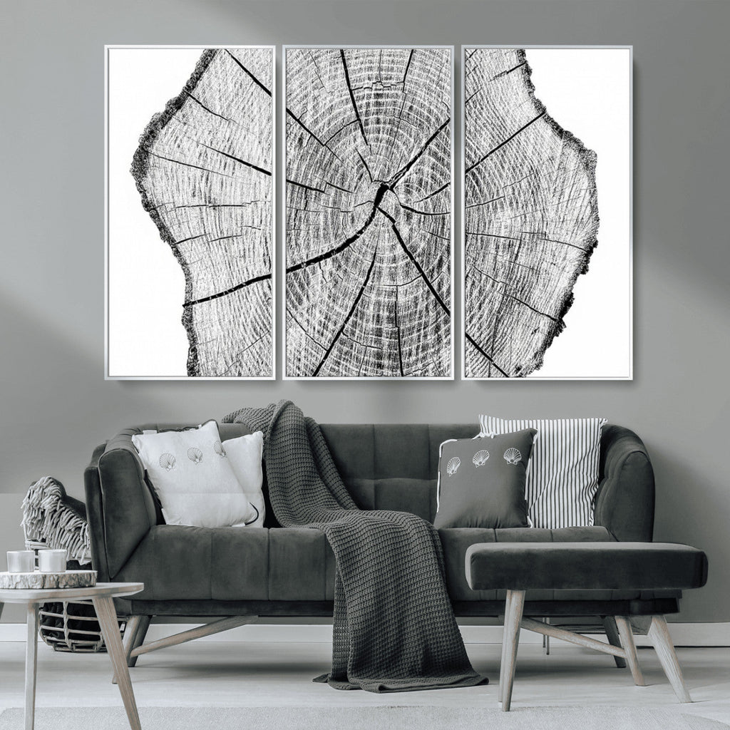 Rustic Tree Ring Wall Art Canvas Print, Framed and Ready to Hang