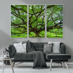 Ancient Tree Wall Art Canvas Print, Framed Sprawling Branches