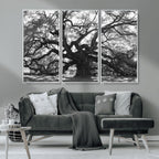 Ancient Oak Wall Art Canvas Print | Gnarled Tree with Twisted Branches