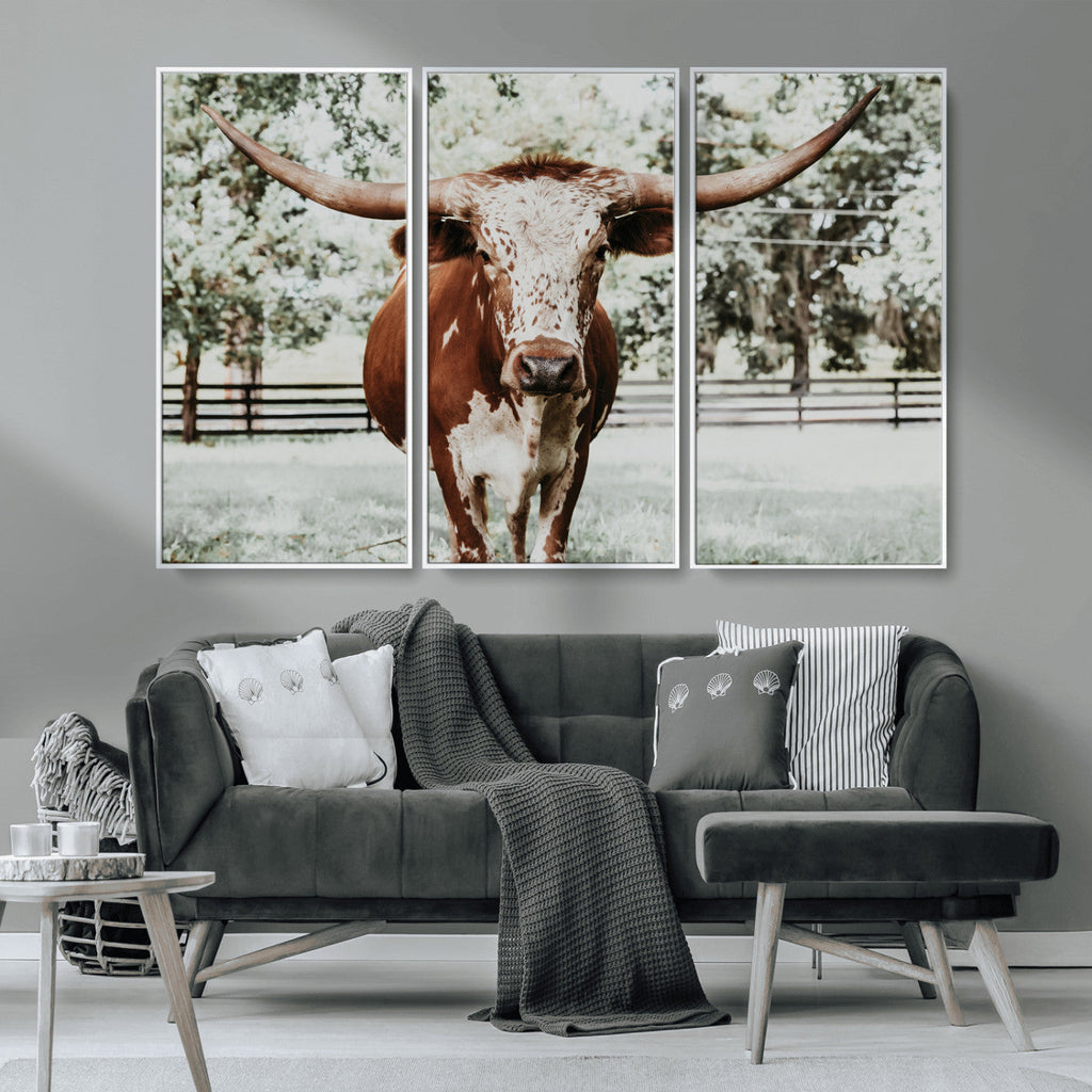 Texas Longhorn Wall Art Canvas Print | Framed Spotted Brown and White Bull