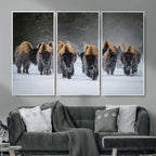 Bison Herd Wall Art Canvas Print, Framed Rustic Wildlife Decor, Snowy Bison Landscape