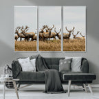 Elk Herd Wall Art Canvas Print, Framed Wildlife Photography Art, Majestic Antlers Rustic Wildlife Decor
