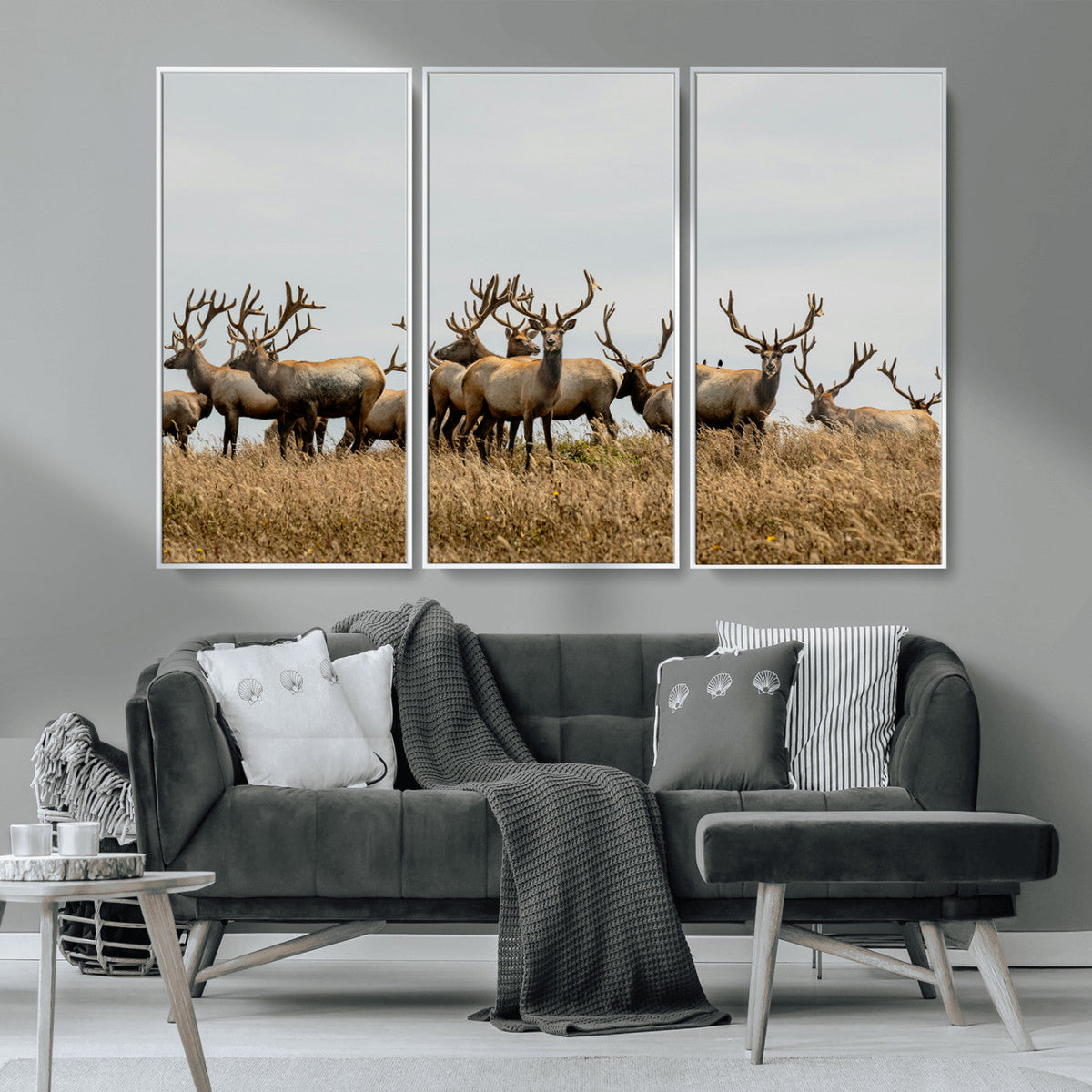 Elk Herd Wall Art Canvas Print, Framed Wildlife Photography Art, Majestic Antlers Rustic Wildlife Decor
