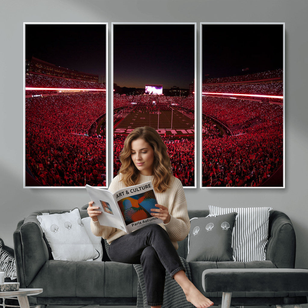 Dooley Stadium Wall Art, Sports Arena Canvas Print, Dooley Field Sanford Stadium