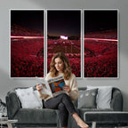 Dooley Stadium Wall Art, Sports Arena Canvas Print, Dooley Field Sanford Stadium