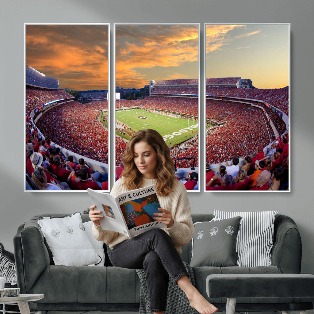 Dooley Stadium Wall Art, Sports Arena Canvas Print, Dooley Field, Framed and Ready to Hang