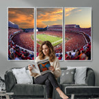 Dooley Stadium Wall Art, Sports Arena Canvas Print, Dooley Field, Framed and Ready to Hang