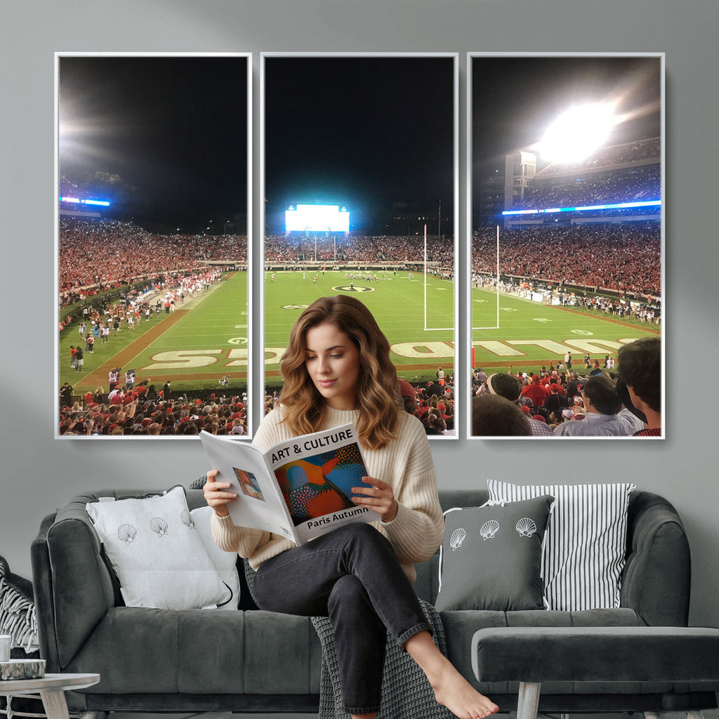 Dooley Stadium Wall Art, Sports Arena Panoramic Canvas