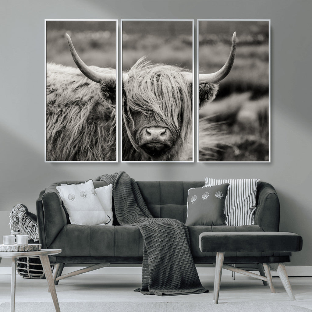 Cow Focus Canvas Wall Art Print