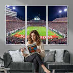 Wolfpack Football Team Print, Raleigh Carter-Finley Stadium