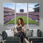 TCU Horned Frogs Football Team Print, Fort Worth Amon G. Carter Stadium, Framed and Ready to Hang
