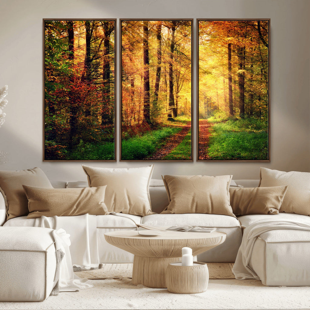 Sunlight Through Trees Wall Art Canvas Print | Autumn Forest Wall Art